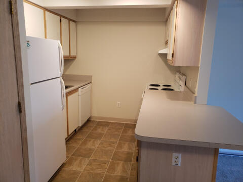 1-BR Apt - Kitchen